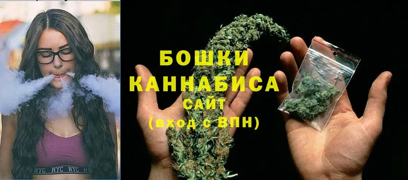 Бошки Шишки White Widow  продажа наркотиков  Болхов 